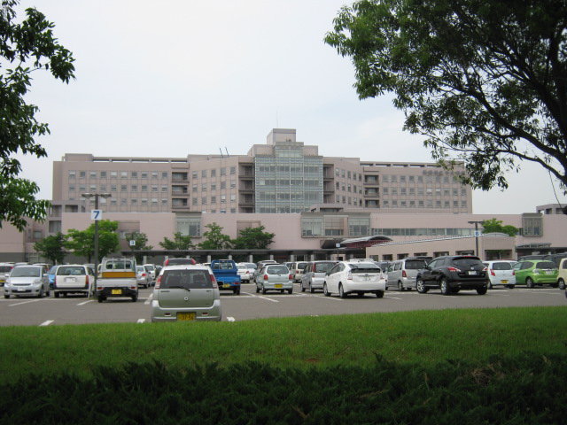 Hospital. 981m to Niigata Prefectural Central Hospital (Hospital)