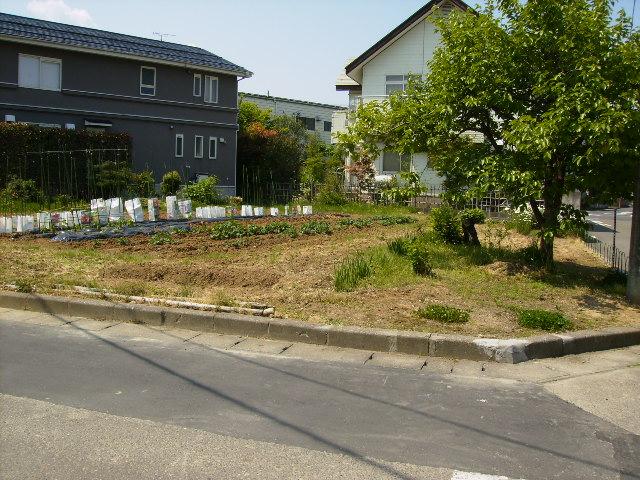 Local land photo