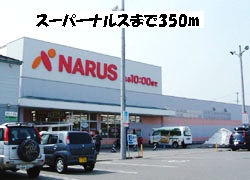 Supermarket. 350m to Super Narusu (Super)