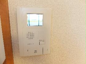 Other. It is the intercom with a popular monitor. 