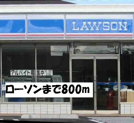 Convenience store. 800m until Lawson (convenience store)