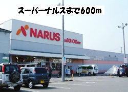 Supermarket. 600m to Super Narusu (Super)