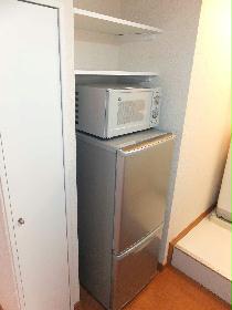Other. Furnished Home Appliances: TV, Washing machine, microwave, refrigerator, Air conditioning, etc.