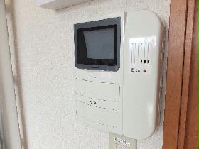 Other. It is the intercom with a popular monitor. 