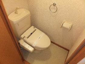 Toilet. It comes with a popular washlet. 