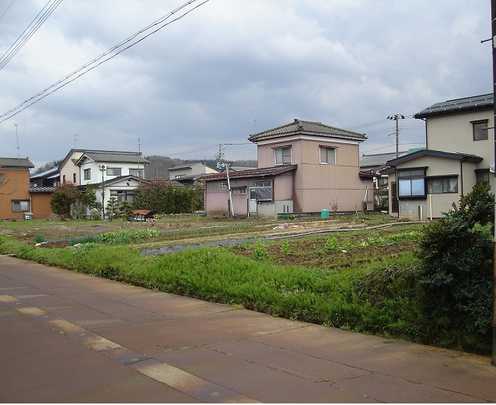 Local land photo