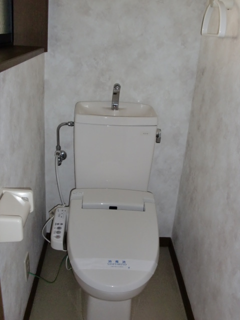 Toilet. With Washlet