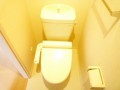 Toilet. Warm water washing toilet seat