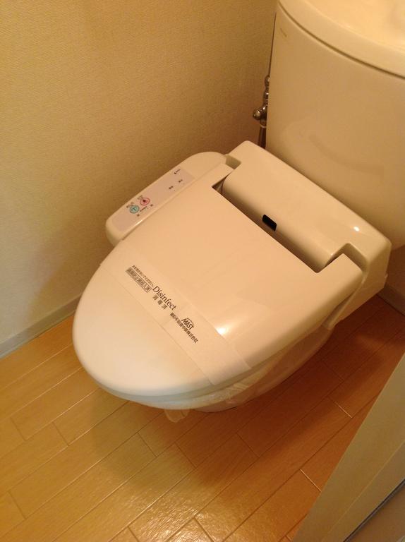 Toilet. Bidet