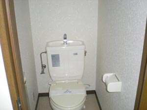 Toilet