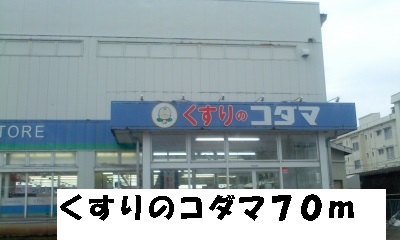 Dorakkusutoa. 70m to Kodama (drugstore) of medicine