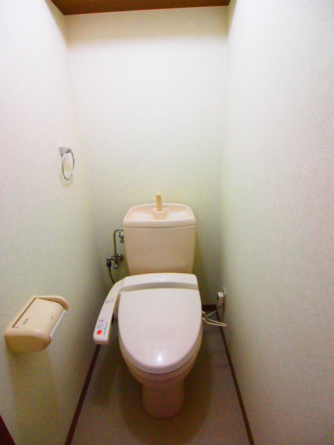 Toilet. With cleaning toilet seat