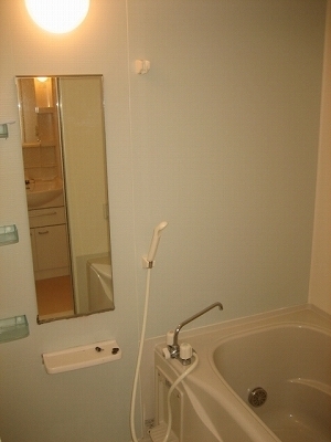 Bath. mirror, Shower rooms