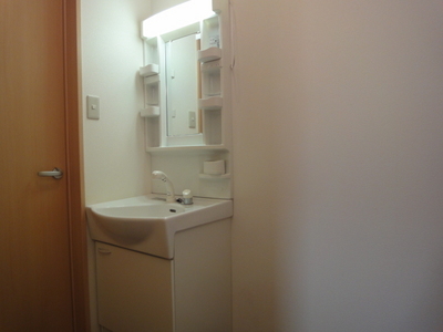 Washroom. Washroom with a shampoo dresser