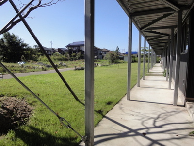 Other common areas. Full of green in front of the entrance! 