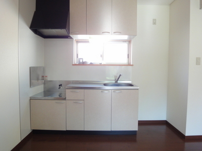 Kitchen. The size of the kitchen with two-burner stove is put! 