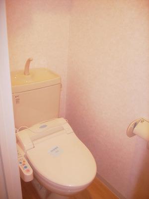 Toilet. Of course with Washlet! 