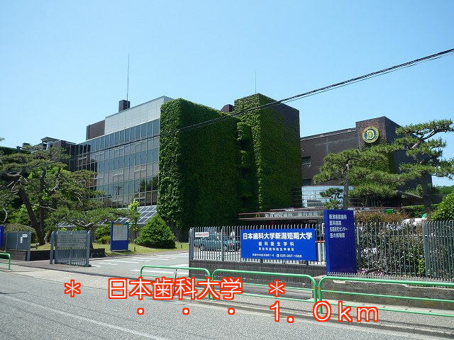 University ・ Junior college. Nippon Dental University (University of ・ 1000m up to junior college)