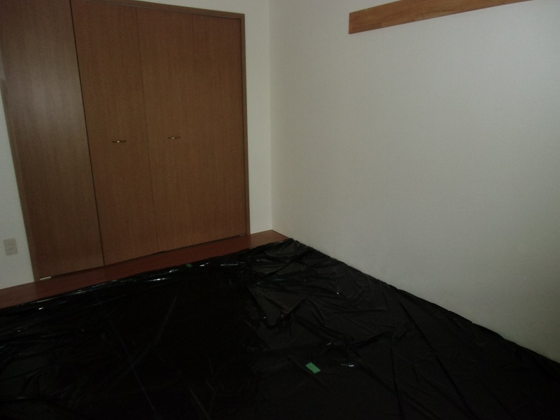 Other room space. Under the black sheet is tatami