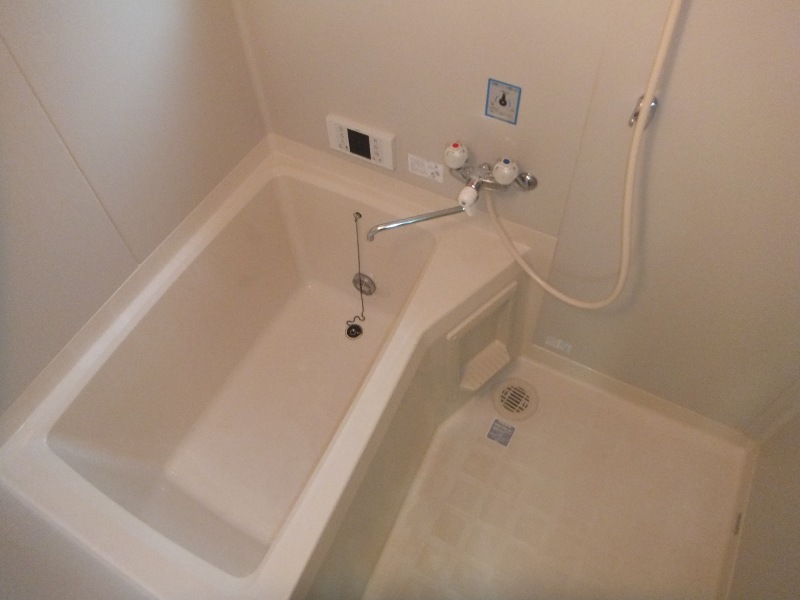 Bath. Bathroom / With reheating