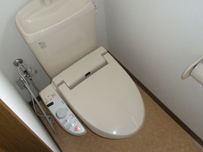 Toilet. Also it has a bidet of addictive After using once