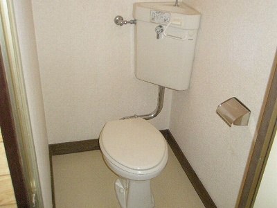 Toilet. It is a flush toilet. 