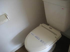 Toilet. Heating toilet seat