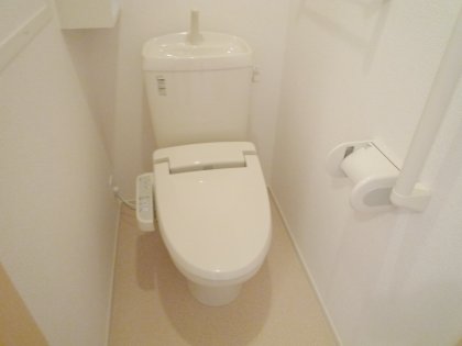 Toilet. Same type model