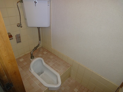 Toilet. It is a flush toilet. 