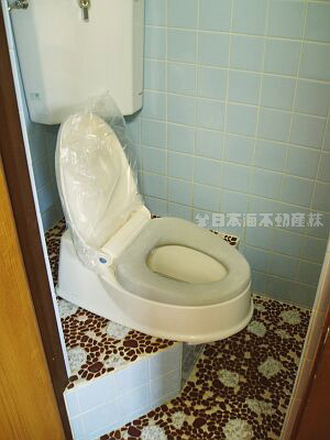 Toilet. With Western-style cover