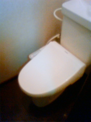 Toilet. It is with warm water washing toilet seat! 