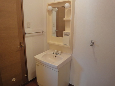 Washroom. Bathroom vanity