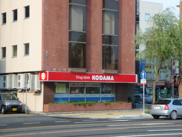 Dorakkusutoa. Medicine of Kodama Niigata City Hall shop 479m until (drugstore)