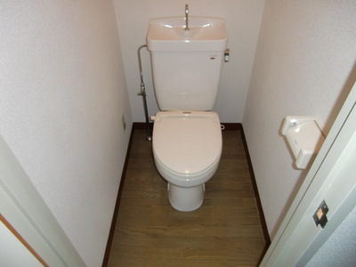 Toilet. Heating toilet seat