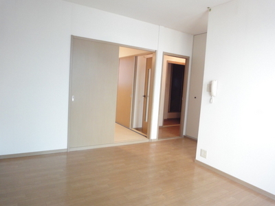 Living and room. There partition door between the living room and Japanese-style room