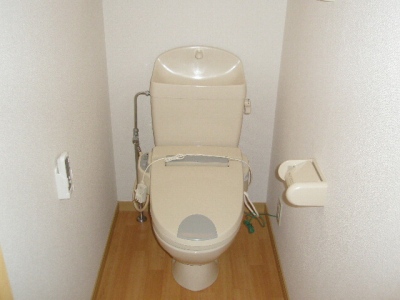 Toilet. Heating is cleaning toilet seat. 