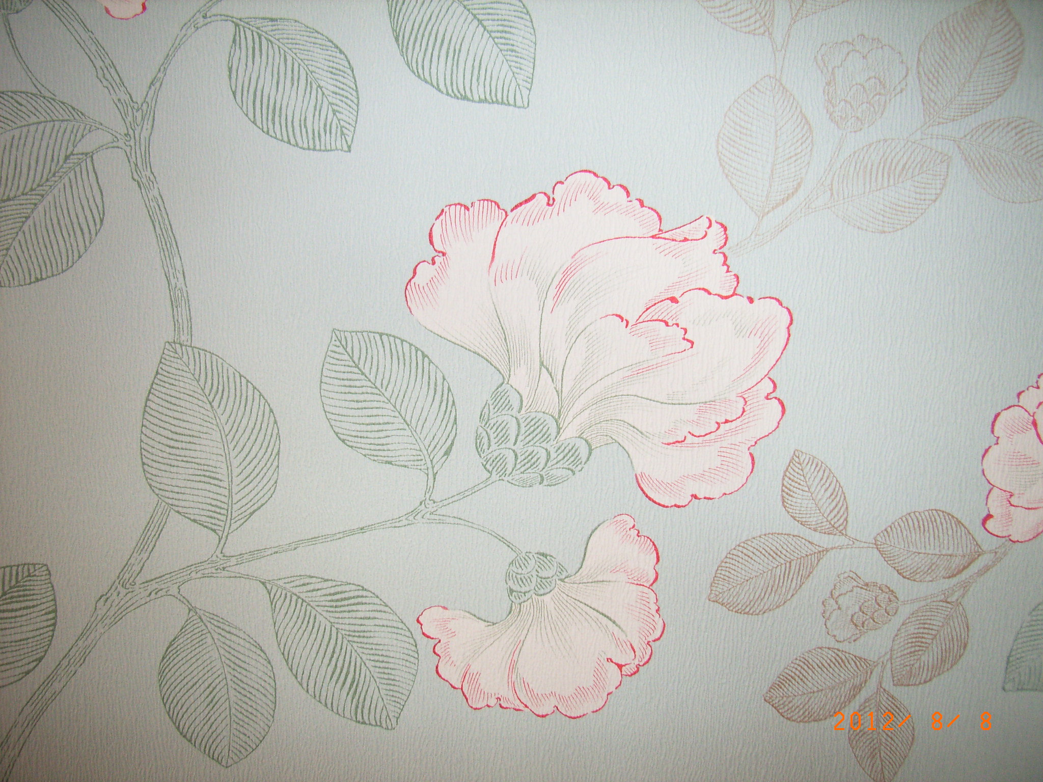 Other. It is an example of the choice of wallpaper. There are other wide! 