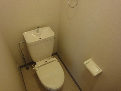 Toilet. Toilet