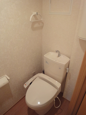 Toilet. Bidet There is also a storage