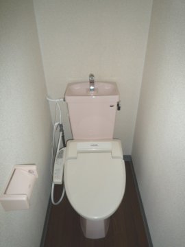 Toilet. With Washlet