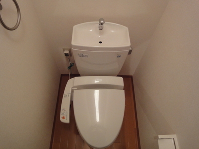 Toilet. With Washlet! 