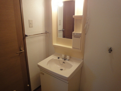 Washroom. Bathroom vanity