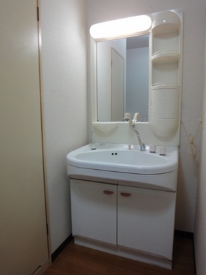 Washroom. Excellent storage capacity of independent wash basin