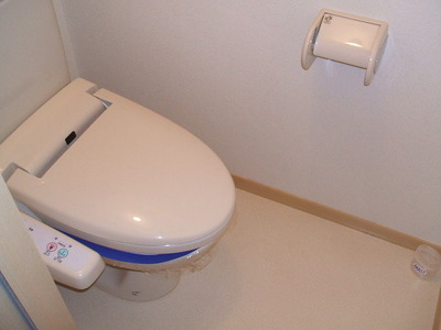 Toilet. Heating toilet seat