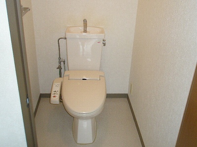 Toilet. Heating is cleaning toilet seat. 