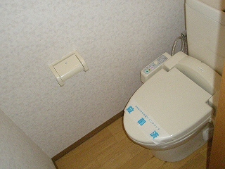 Toilet. Heating is cleaning toilet seat. 