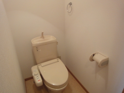 Toilet. With warm water washing toilet seat! 