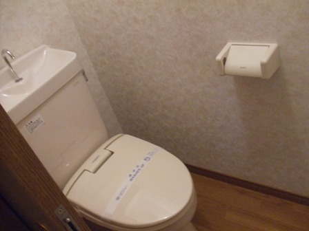 Toilet. Reference photograph