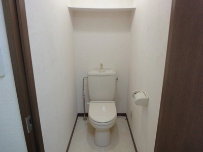 Toilet. There is storage space above! 