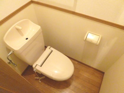 Toilet. It will be heating toilet seat. 